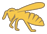 bee juvarim